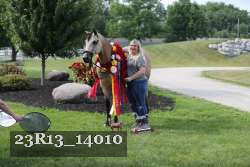 23R13_14010 thumbnail
